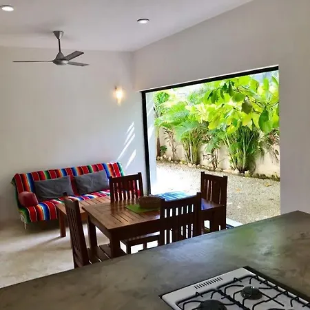 Downtown Cozy 1bd Holiday home