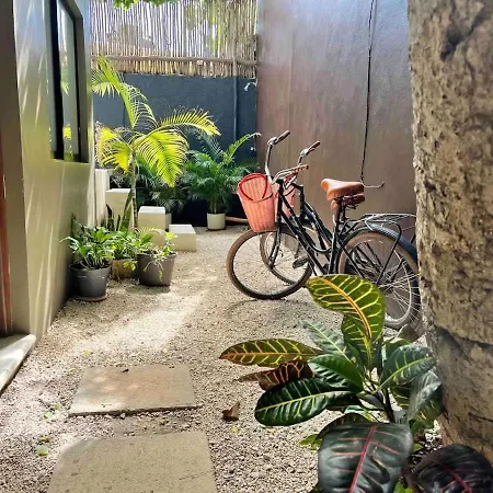 Downtown Cozy 1bd * Tulum