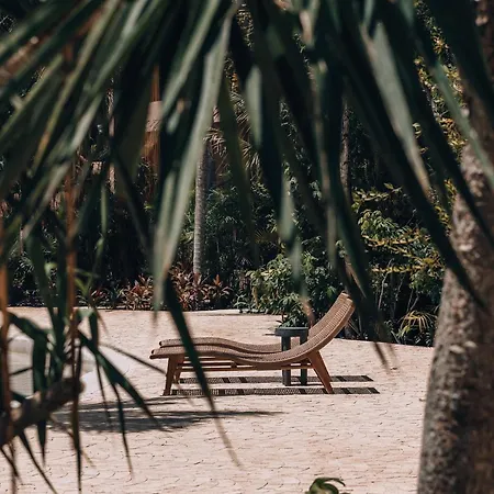 Loft Luna Maya Apartment Tulum