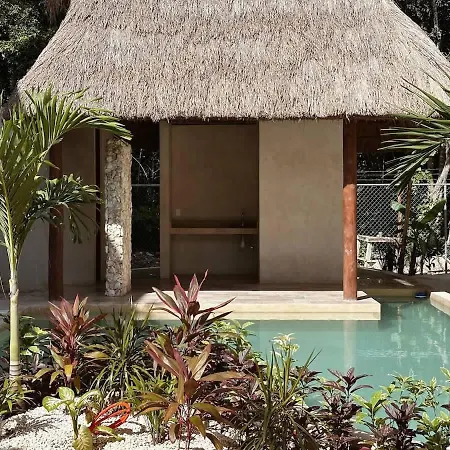 Escapada En La Selva Con Balcon Privado