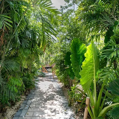 Private Pool And Cenote * Tulum