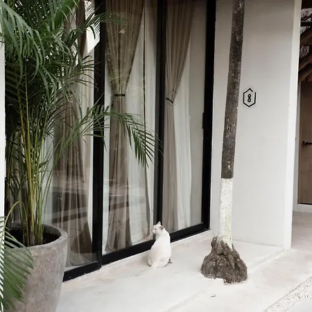 Tuup 3* Tulum