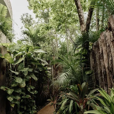 Casa Coco Jungle - Pv Pool & Concierge 5b *