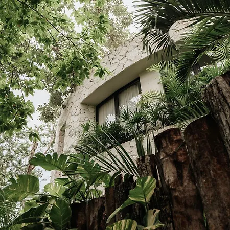 Villa Casa Coco Jungle - Pv Pool & Concierge 5b