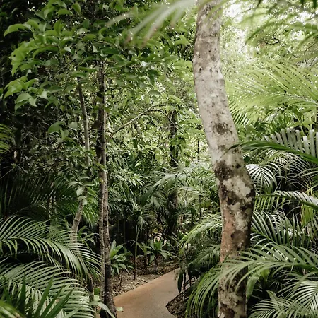 Casa Coco Jungle - Pv Pool & Concierge 5b Villa Tulum