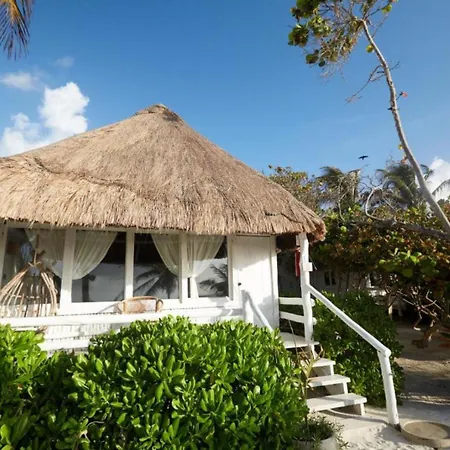 Beachfront Luxury tent