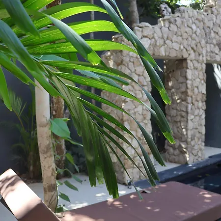 Casa Valkinia Luxury W Private Pool Villa *