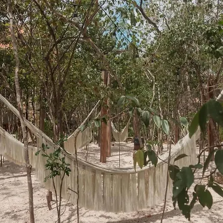 Casa De Lujo Con Alberca Privada Tulum