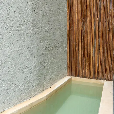 Apartment Xaana Private Pool With 2 Bedrooms Near Fast Wifi *