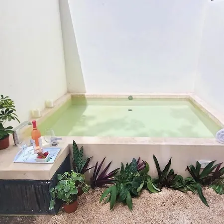 Private Jungle Cool Pool 500 Mbps Wi-fi 3 Bikes King Bed Apartment *