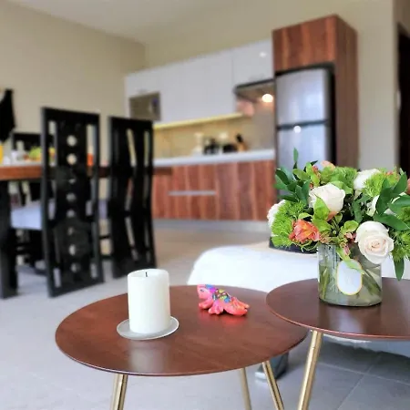 Private Jungle Cool Pool 500 Mbps Wi-fi 3 Bikes King Bed * Tulum