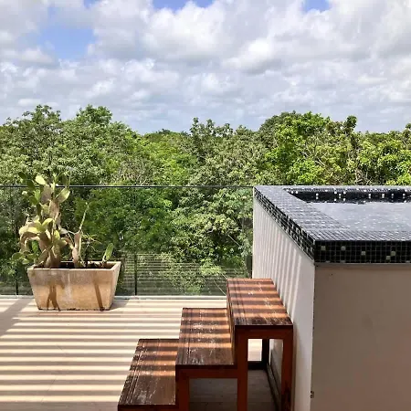 Ph 3 Bed 3 Bath Private Pool Tulum