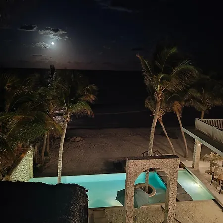 Azucar
