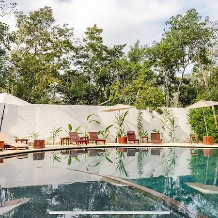 Family In The Jungle With Cenotes And Big Pool
