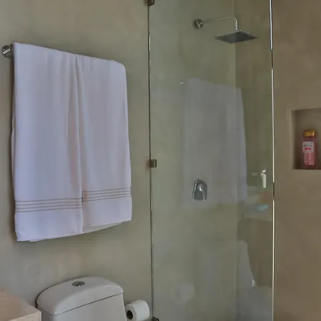 Quiet 4br Townhouse With Private Pool, Roof, Patio Apartment