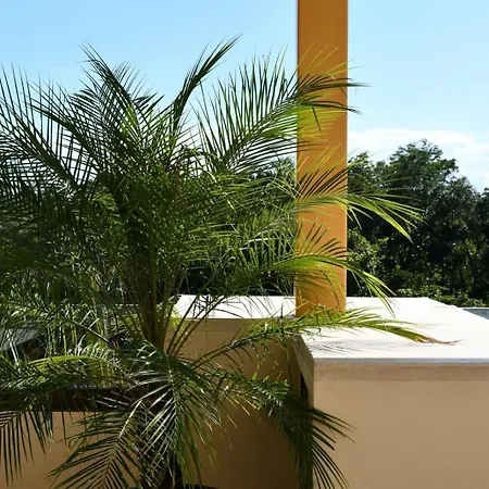3-bedroom With Private Pool, Terrace And Bbq * Tulum