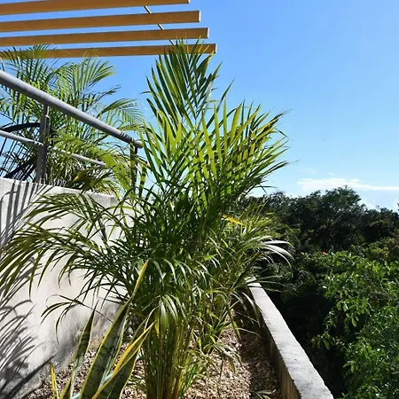 3-br With Private Pool, Terrace And Bbq Tulum