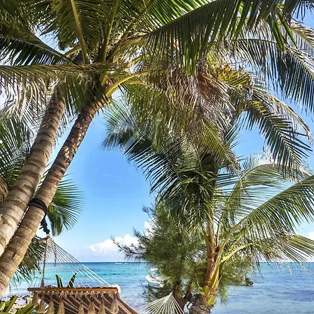 Seafront Luxury & Freedom With Staff * Tulum