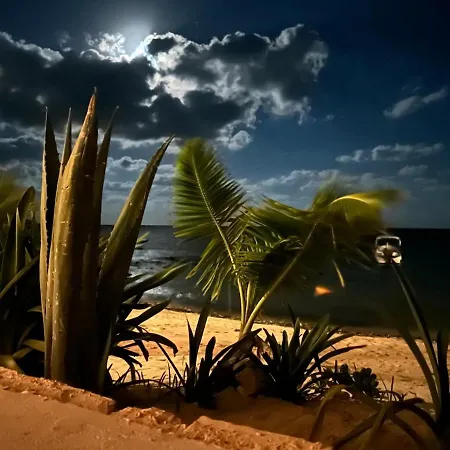 Seafront Luxury & Freedom With Staff * Tulum