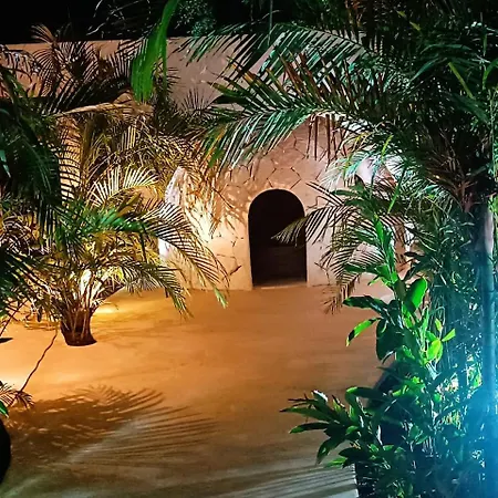 Con Scooter Gratis * Tulum