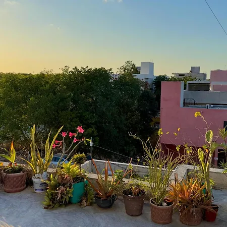 Apartment Armonia