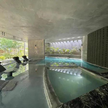 Tribu 204 Jungle Experience Ambience * Tulum