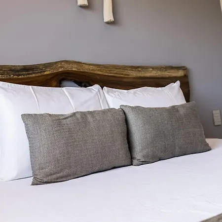 Apartment Breeze Oasis C- 203