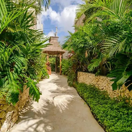 With Private Pool & Terrace Apartment Tulum