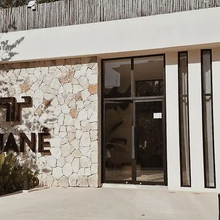 Private Parking Lot And Bbq Apartment Tulum