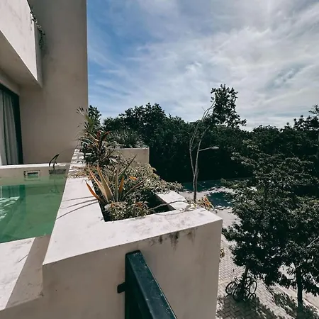 Apartment Luxury Penthouse With Jungle Views *