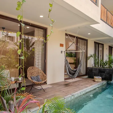 Apartment 2 Bedrooms And Fully Equipped Kitchen Harmony Maxia