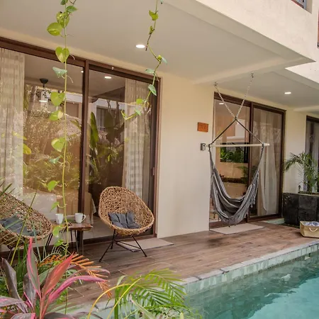 Apartment 2 Bedrooms And Fully Equipped Kitchen Harmony Maxia