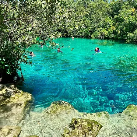 In Tankah Bay Where Jungle Meets * Tulum