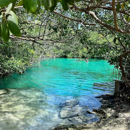 In Tankah Bay Where Jungle Meets * Tulum