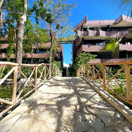 Toes In The - High Speed Wifi Bike To Tulum