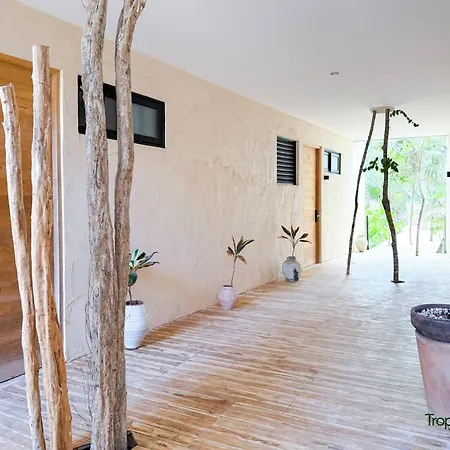 Kaabin Jungle Living C5