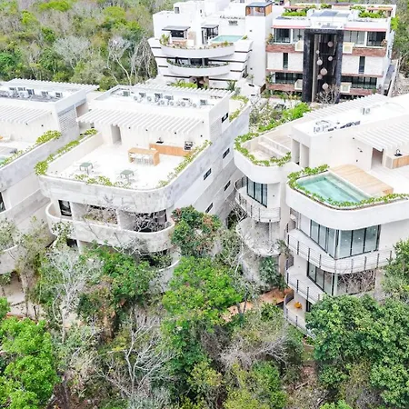 Kaabin Jungle Living C5 *