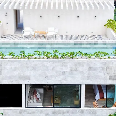 Apartment Kaabin Jungle Living C5 *