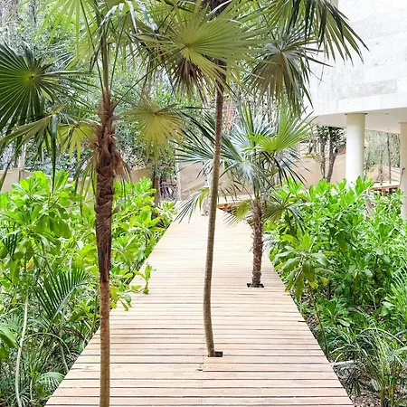 Kaabin Jungle Living C5 Apartment