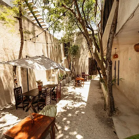 Ama Y Prana Tulum