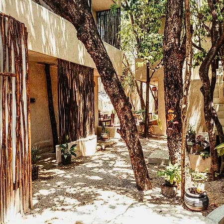 Hotel Ama Y Prana