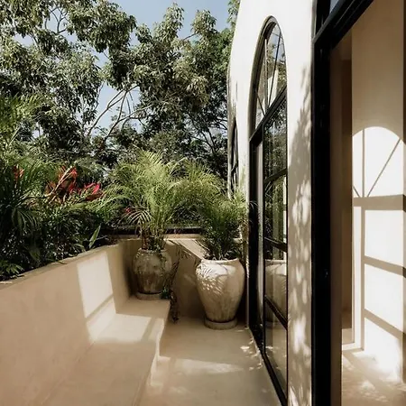 Villa Casa Colina Stunning Pool Rooftop Bbq N Lounge *