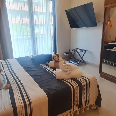 Apartment Monkey Lifestyle *