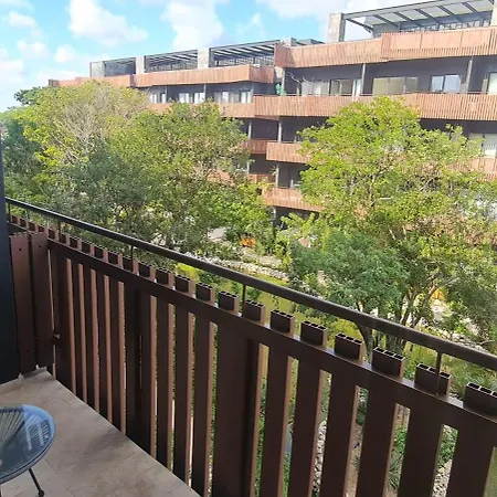Monkey Lifestyle