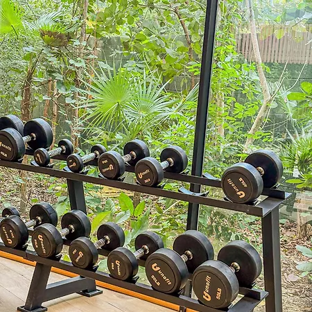 Monkey Lifestyle Apartment