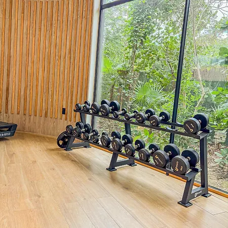 Monkey Lifestyle Apartment