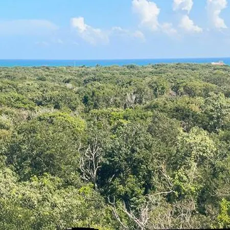 Monkey Lifestyle Apartment Tulum