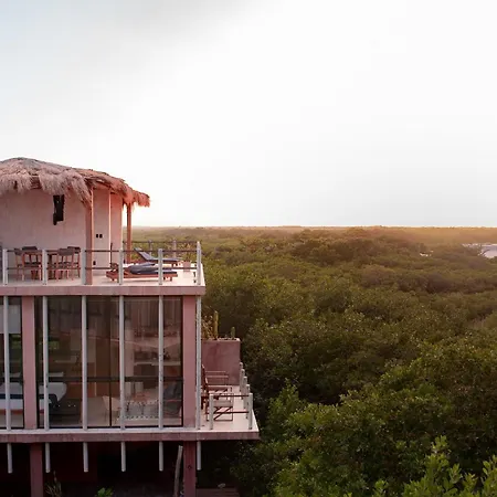 Caiman Habitat Hotel 5*
