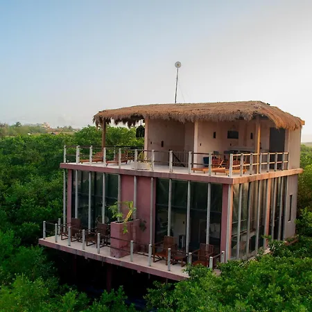 Caiman Habitat Tulum