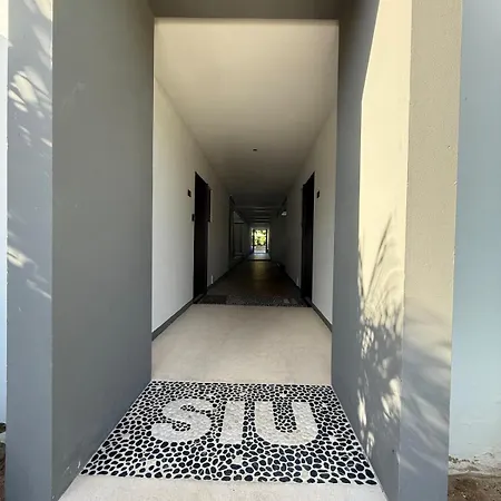 Selva - Hivenb * Tulum
